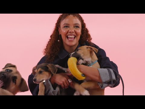 Tessa Thompson Plays With Puppies
