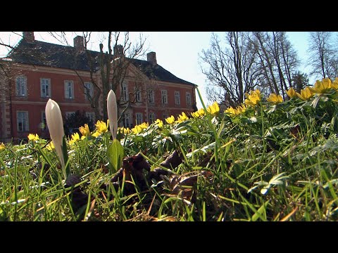 Schloss Bothmer - Rettung in letzter Minute