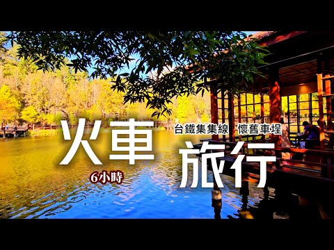 療癒旅程🧸台鐵集集線🚂落羽松環湖波光夕陽🌤️險失傳50年純手工冬瓜茶🍯必吃木桶便當🍱超臭台式下午茶要排隊⁉️🥡來趟6小時火車之旅|集集線火車❌南投車埕|TAIWAN|【國旅玩什麼】