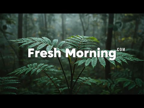 Fresh Morning Mix 🌄 | Chillout & Deep House Tracks for a Positive Start