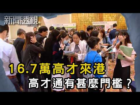 名牌企業出身照樣冇人請? 高才通首批簽證到期 港府該如何留住人才?|新聞 | 時事 | 資訊節目 | 新聞透視|News Magazine