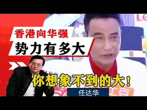 老梁揭秘系列-老梁講述:向華強在香港勢力有多大?老梁表示,你想象不到的大!老梁的評價一針見血