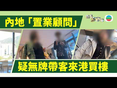 時事多面睇|有內地「置業顧問」疑無牌帶客來港買樓 業界稱消費者有風險|2026年4月15日|TVB News
