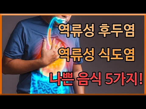 역류성 후두염(인후두 역류 질환), 역류성 식도염에 나쁜 음식 5가지 | 역류질환 예방법 | 오공작가