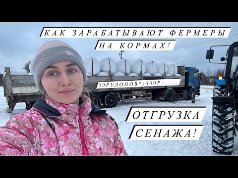 В ожидании отёлов и опоросов! Новости Молодой фермы! Заказала новый инкубатор!