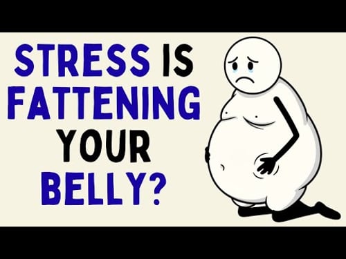 Why You Can’t Lose Belly Fat No Matter How Hard You Diet (Science Explained)