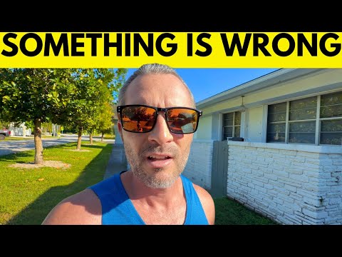 Why the Stock Market Hasn’t Crashed Yet? (Maybe it NEVER WILL?)