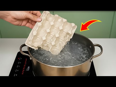 Billions of people don't know this secret! Boil egg carton and make money!