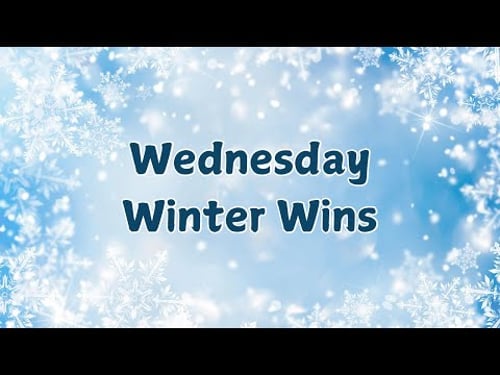 Wednesday Winter Wins || Winter Box Collab || Tiny Savings
