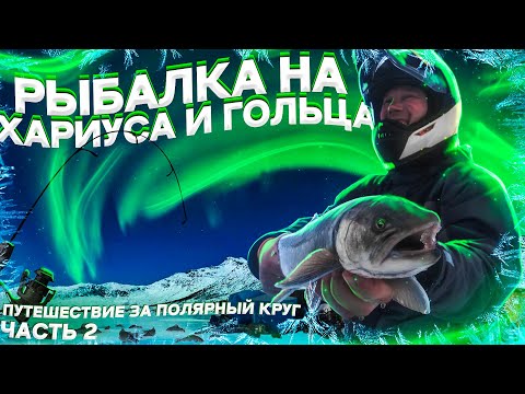 Рыбалка на хариуса и гольца. Жизнь по среди зимней тундры. Путешествие за полярный круг часть 2
