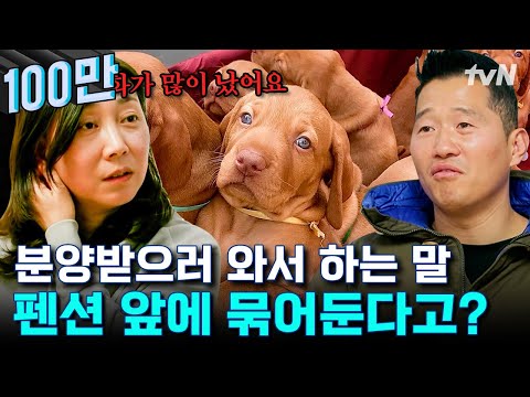 분양하라는 전문가의 말을 듣지 않고 12마리 모두 함께 한 이유😢 쉽지만은 않았던 12마리 다견 가족 일상 | 고독한훈련사