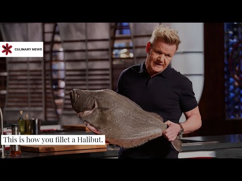 How to fillet a Halibut | Gordon Ramsay | Culinary News | Master Chef | Halibut Fillet