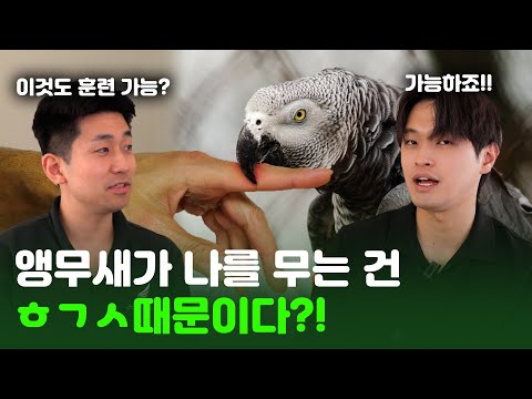 앵무새 입질에 어떻게 고칠 수 있을까요? ㅠㅠ너무 아파요