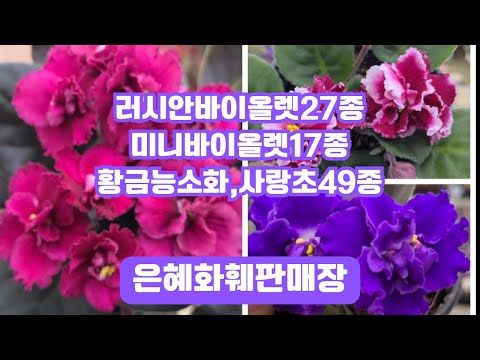 ์ํํํผํ๋งค์ฅ๐ณ์ ํ์ฃผ๋ฌธ โ010 2651 4421#๋ฌ์์๋ฐ์ด์ฌ๋ 27์ข
11์์๋น,,๋์๊ธฐ์กฐ๊ฐ์,๋ชจ๊ฑด์ค๋ก์ฆ์ฝํฐ์ง#๋ฏธ๋๋ฐ์ด์ฌ๋ 17์ข
๋ญํคํ๋#ํฉ๊ธ๋ฅ์ํ#๋ฒ ๋ค๋ ํด์๋ณ#์ฌ๋์ด 49์ข
๐ณ