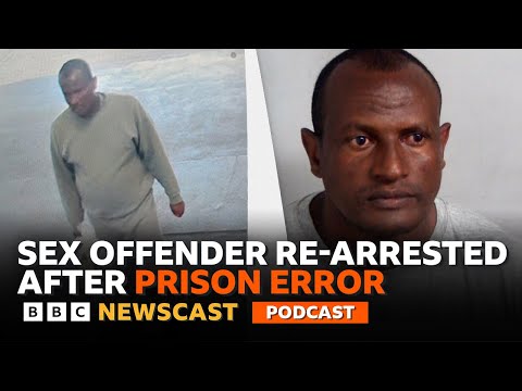 Epping sex offender arrested, but has the damage been done? | BBC Newscast