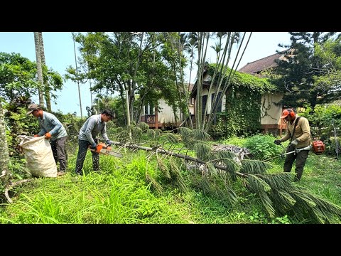 CEO left the City to Return to the Countryside to buy an Abandoned House to RENOVATE and CLEAN UP