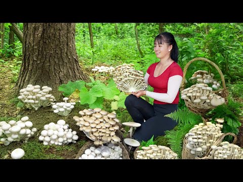 365 Days Harvesting Fresh Mushroom Goes to Village Market Sell â Mushroom Farm | Phuong Harvest Life