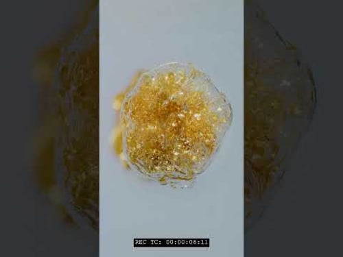 From Raw to Master 02 #hdr #glitter