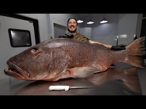 The World's Strongest Snapper