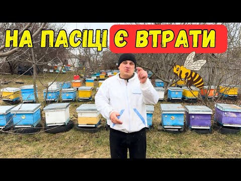 The apiary is a loss, and it needs to be fed 🐝