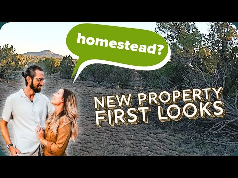 Arizona High Desert Homestead | part 1