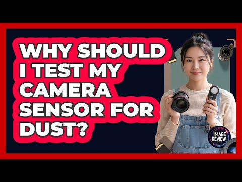 Why Should I Test My Camera Sensor For Dust?