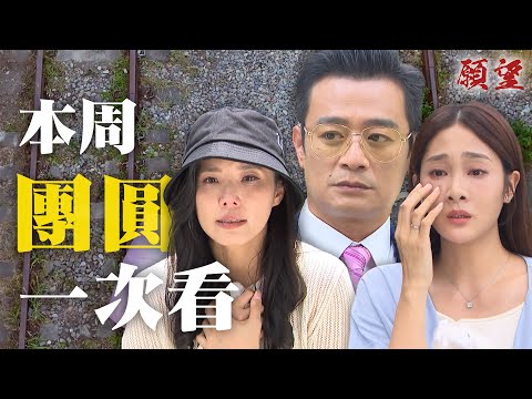 精華一次看|趙家終於團圓!冬雨當爸爸媽媽牽紅線的小月老 成功把麗君找回來!|#願望 EP258-262|三立台劇