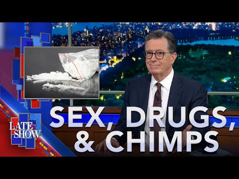Sex Doctor Scandal | America Loves Cocaine Again | Boozed-Up Chimps