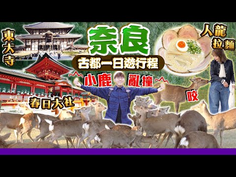 【關西自由行】古都奈良一日遊行程|超人氣拉麵排隊名店|奈良公園被鹿追+世界遺產東大寺+歷史上超有名春日大社|EP6|Kiki and May Ft. Tempo
