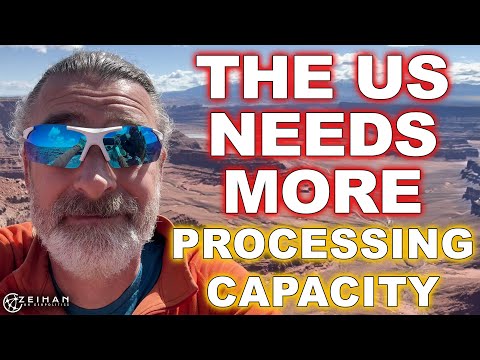 America’s Processing Crisis: Racing China's Decline || Peter Zeihan