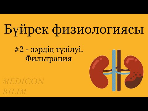 Зәрдің түзілу механизмі. Фильтрация | Механизм образования мочи | Физиология курсқа тіркелу👇