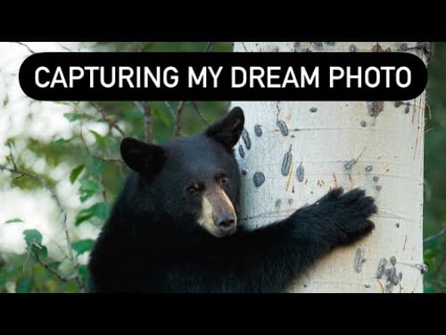 Here’s the story behind a photo I dreamed of for a couple years! #shorts #naturephotography