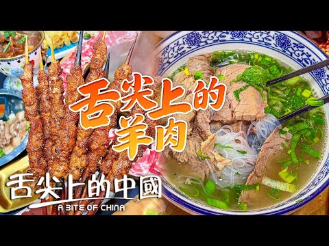 羊肉愛好者集合!紅柳枝烤羊肉 水盆羊肉 羊肉湯 你最愛羊肉的哪一種吃法?丨舌尖上的中國 A Bite of China