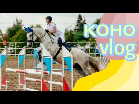 Vlog со стартов! СОРЕВНОВАНИЯ ПО КОНКУРУ☀️🐎 4 ДНЯ ИЗ ЖИЗНИ КОНКУРИСТА. КСК «Звезда»