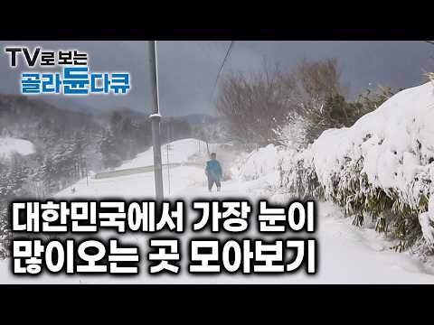 대한민국에서 가장 눈이 많이 내리는 곳|어김 없이 폭설로 고립된 주민들은 겨울마다 어떻게 살아갈까?|한국기행|#골라듄다큐