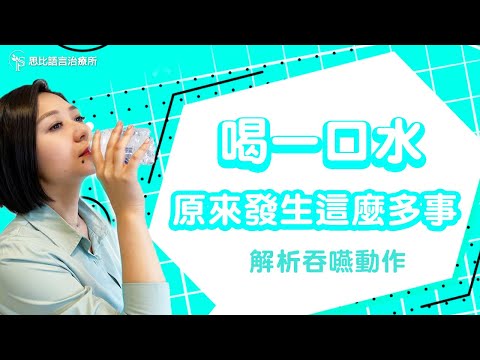 喝一口水原來發生這麼多事!解析吞嚥四時期,更好地照顧家人【思比語言治療所】