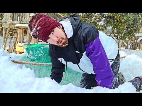 Asmongold Tries to Survive the Texas Snowstorm