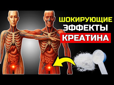 10 РЕАКЦИЙ ВАШЕГО ОРГАНИЗМА ПРИ ЕЖЕДНЕВНОМ ПРИЁМЕ 5 ГРАММОВ КРЕАТИНА