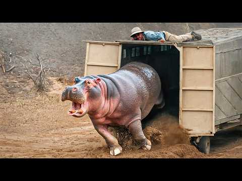 ЖИВОТНЫЕ, КОТОРЫХ ВПЕРВЫЕ ВЫПУСТИЛИ НА СВОБОДУ