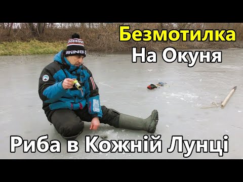 Риба в Кожній Лунці. Зимова Риболовля на Окуня