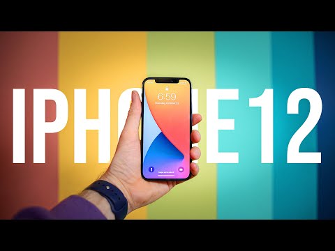 iPhone 12: A Photographer's Review