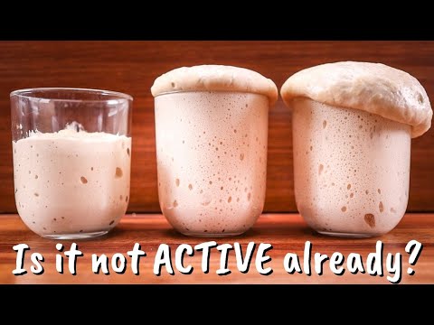 Why Do You Have to Activate Active Dry Yeast?