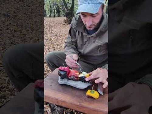 Epic Wilderness Survival Tips You Need!