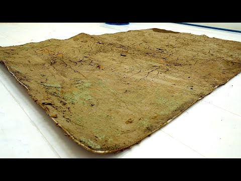 Unearthed After Years of Neglect – You Won’t Believe the Beauty Beneath! | Satisfying Deep Clean