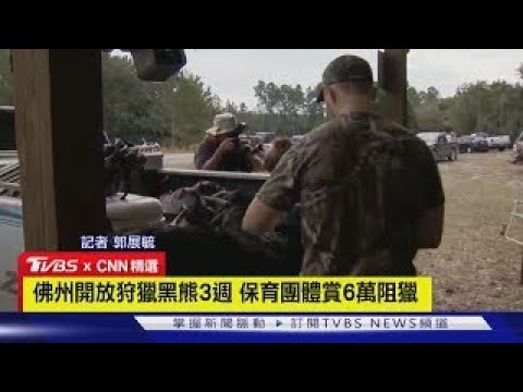 【CNN精選】睽違10年! 佛州開放狩獵黑熊3週 保育團體懸賞6萬阻獵|TVBS新聞