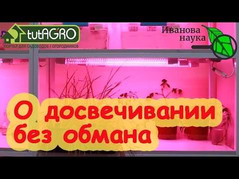 И БАБУШКАМ БУДЕТ ПОНЯТНО! Почему я выбрал ФИТОЛАМПУ для подсветки рассады? Простое правило 100 Ватт.