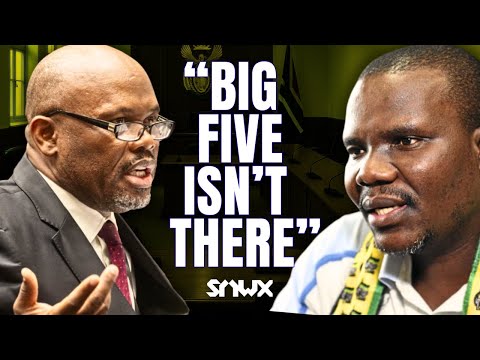 Ntuli grills Sibiya in big Parliament exchange
