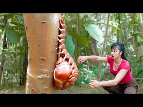 60 Coisas Que Você Verá Pela Primeira Vez na Vida