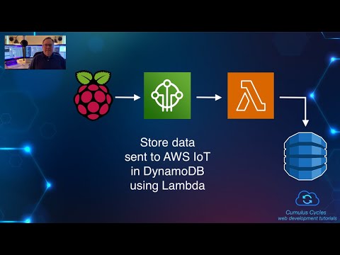 Store data sent to AWS IoT in DynamoDB using Lambda