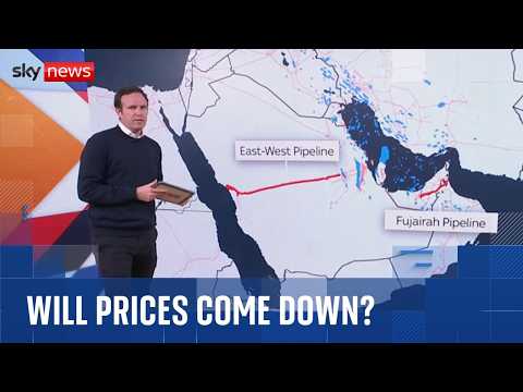 Analysis: Will emergency oil reserve release bring costs down?